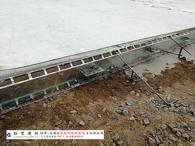 乐山市铠装缝案例